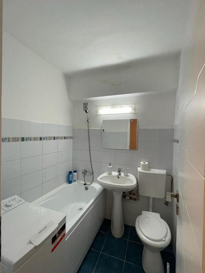 Bega Circumvalatiunii 1 Room Apartament - 2 Тимишоара Екстериор снимка